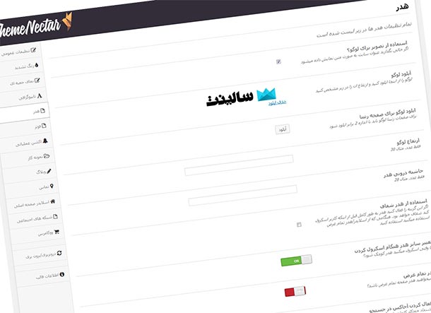 قالب وردپرس حرفه ای سالینت