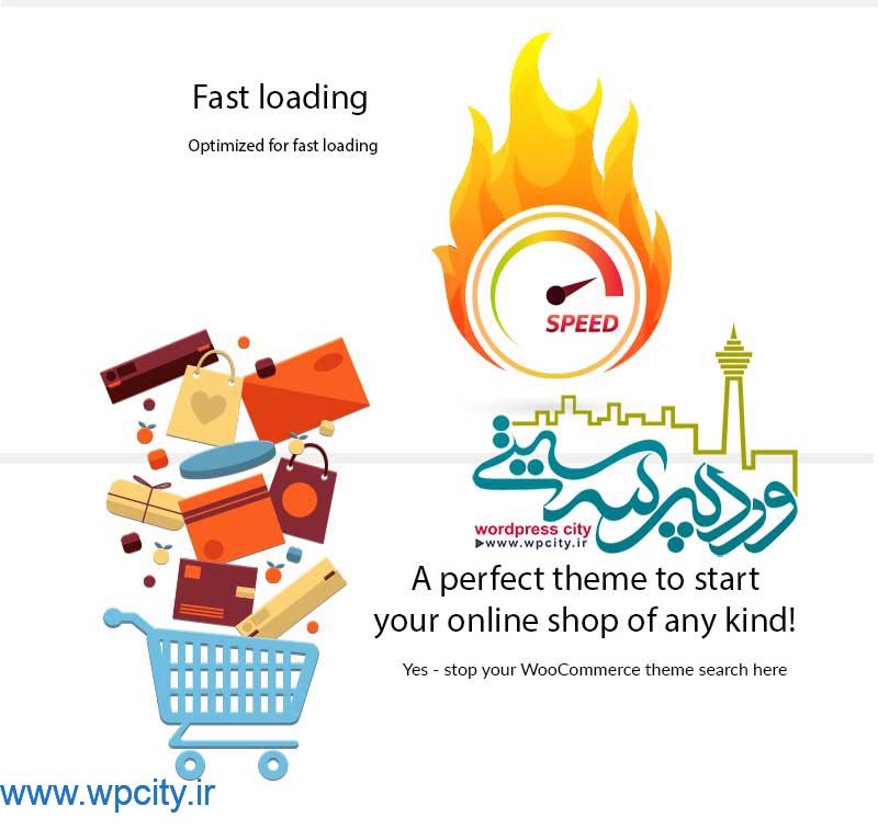 قالب Accesspress Store