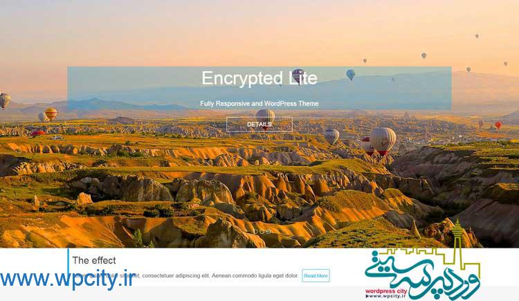 قالب شرکتی Encrypted Lite 1