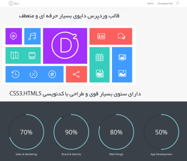 قالب Divi - وردپرس سیتی