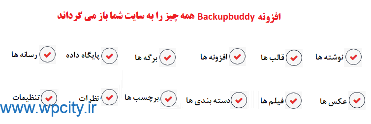 افزونه BackupBuddy